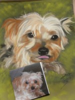 /album/galerie-photos/photo-1299-jpg/